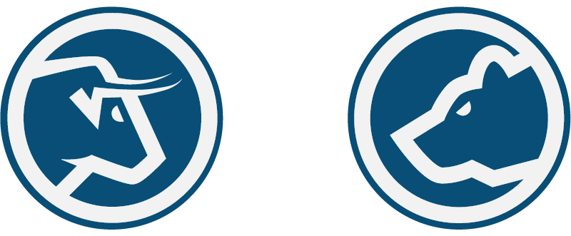 Bull vs. Bear Summit